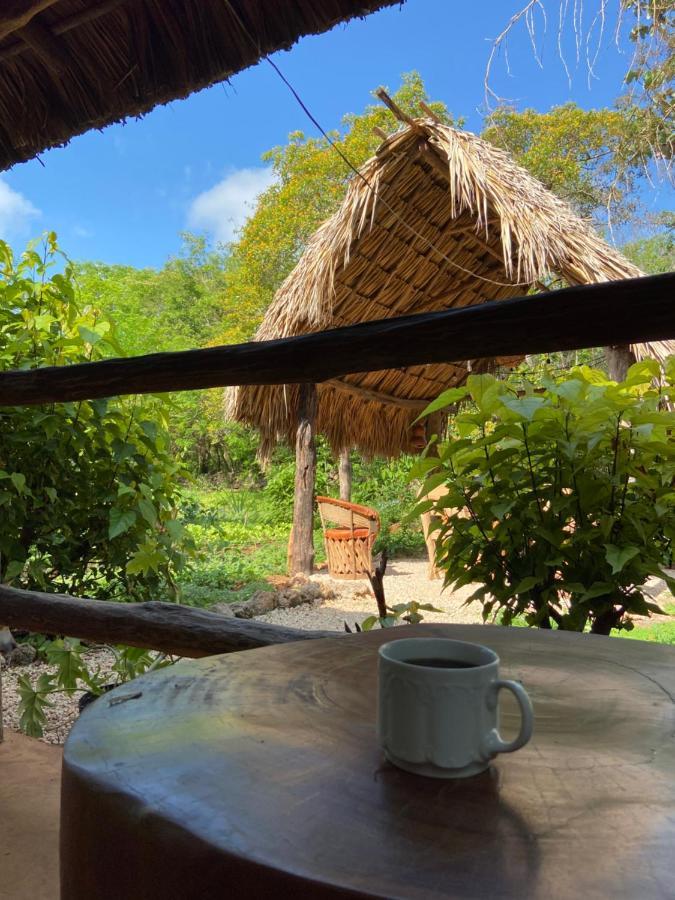 Encantadora Villa Maya Tradicional En Rancho Agroecologico Tzucaceb Zewnętrze zdjęcie