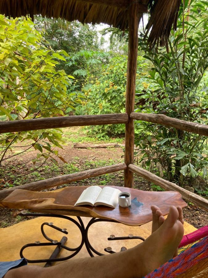 Encantadora Villa Maya Tradicional En Rancho Agroecologico Tzucaceb Zewnętrze zdjęcie