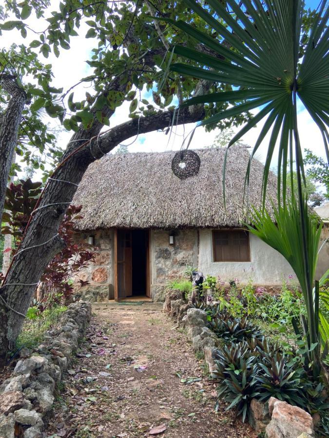 Encantadora Villa Maya Tradicional En Rancho Agroecologico Tzucaceb Zewnętrze zdjęcie