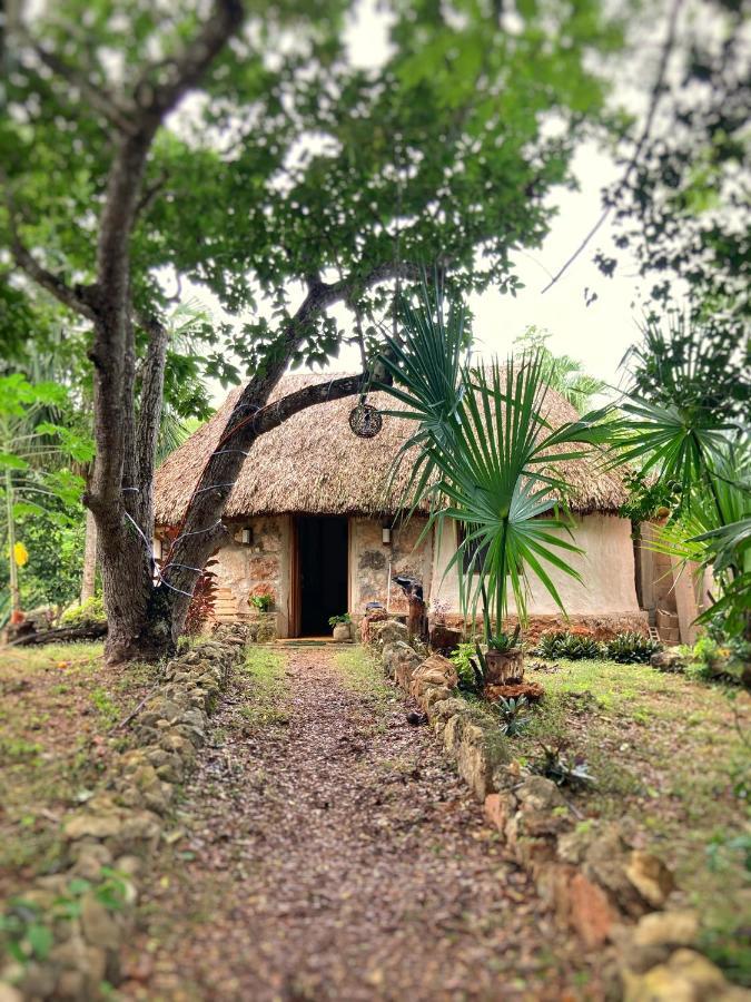 Encantadora Villa Maya Tradicional En Rancho Agroecologico Tzucaceb Zewnętrze zdjęcie