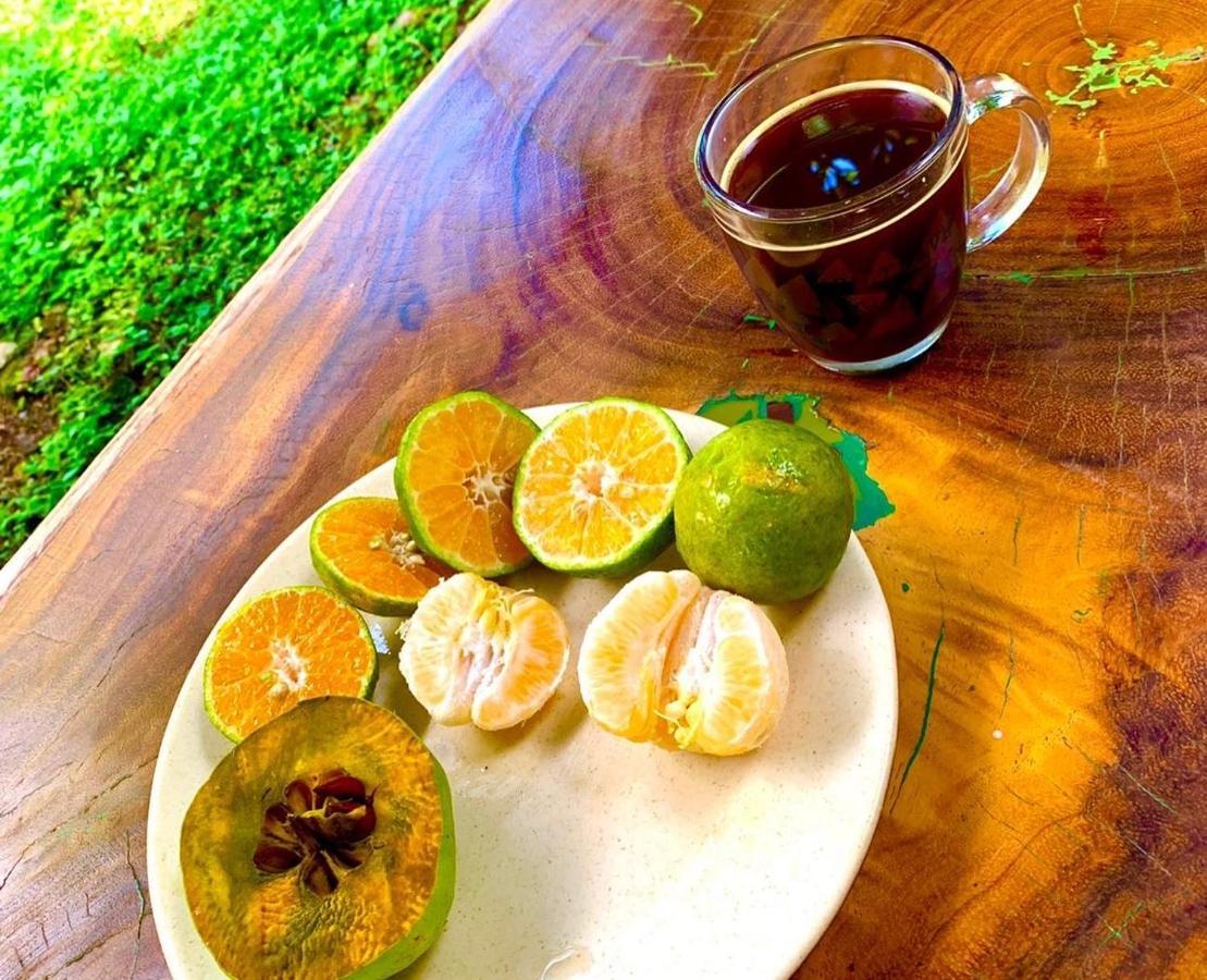 Encantadora Villa Maya Tradicional En Rancho Agroecologico Tzucaceb Zewnętrze zdjęcie