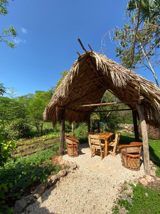 Encantadora Villa Maya Tradicional En Rancho Agroecologico Tzucaceb Zewnętrze zdjęcie
