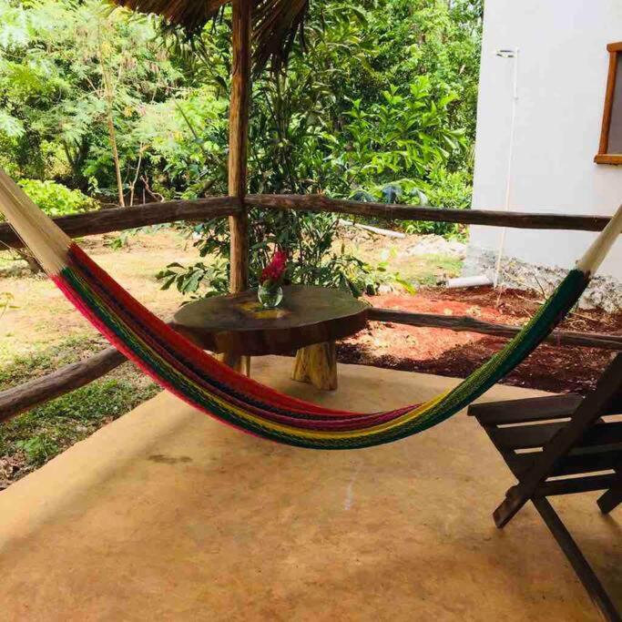 Encantadora Villa Maya Tradicional En Rancho Agroecologico Tzucaceb Zewnętrze zdjęcie