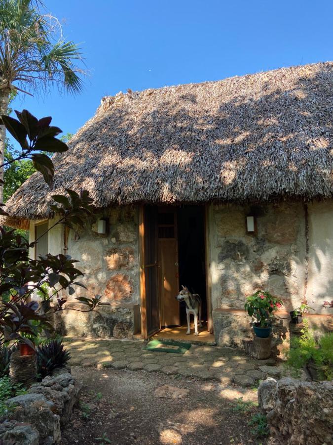 Encantadora Villa Maya Tradicional En Rancho Agroecologico Tzucaceb Zewnętrze zdjęcie