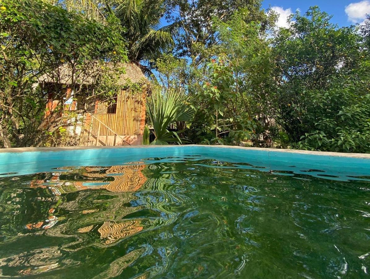 Encantadora Villa Maya Tradicional En Rancho Agroecologico Tzucaceb Zewnętrze zdjęcie