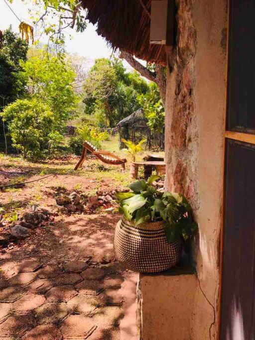 Encantadora Villa Maya Tradicional En Rancho Agroecologico Tzucaceb Zewnętrze zdjęcie