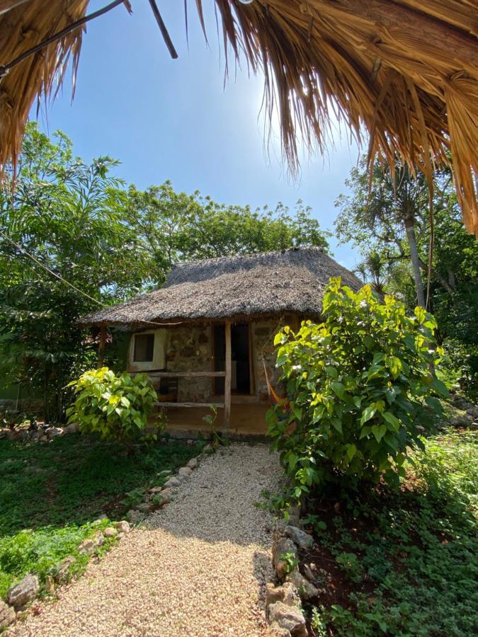 Encantadora Villa Maya Tradicional En Rancho Agroecologico Tzucaceb Zewnętrze zdjęcie