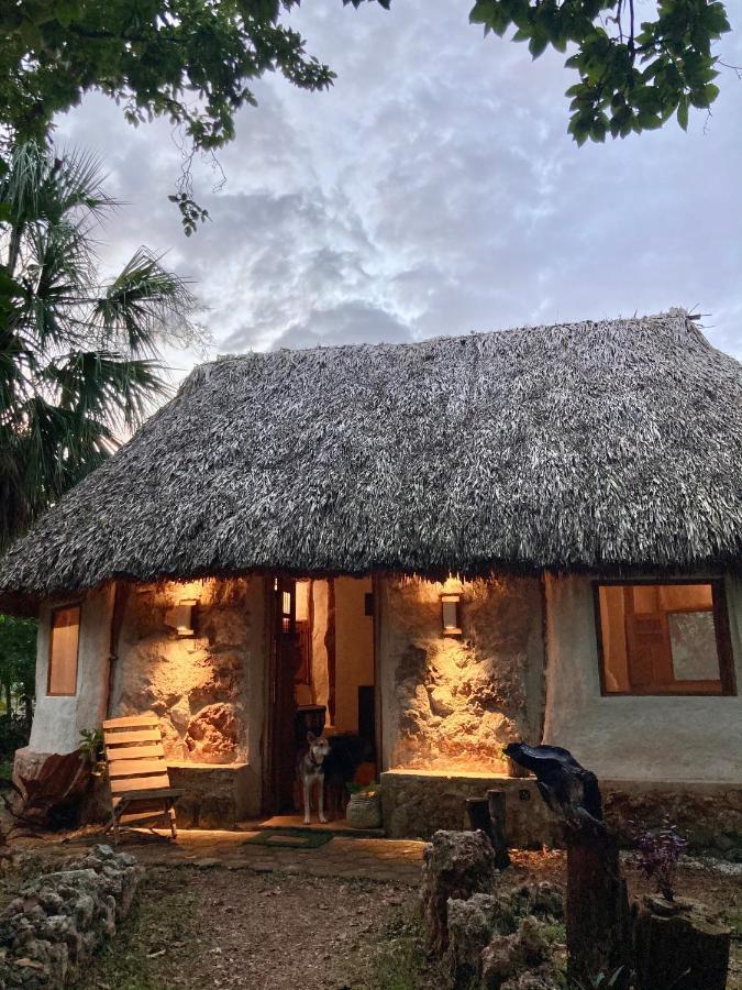 Encantadora Villa Maya Tradicional En Rancho Agroecologico Tzucaceb Zewnętrze zdjęcie