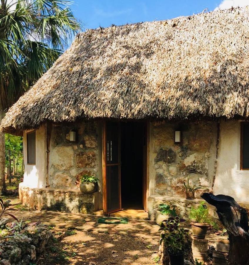 Encantadora Villa Maya Tradicional En Rancho Agroecologico Tzucaceb Zewnętrze zdjęcie