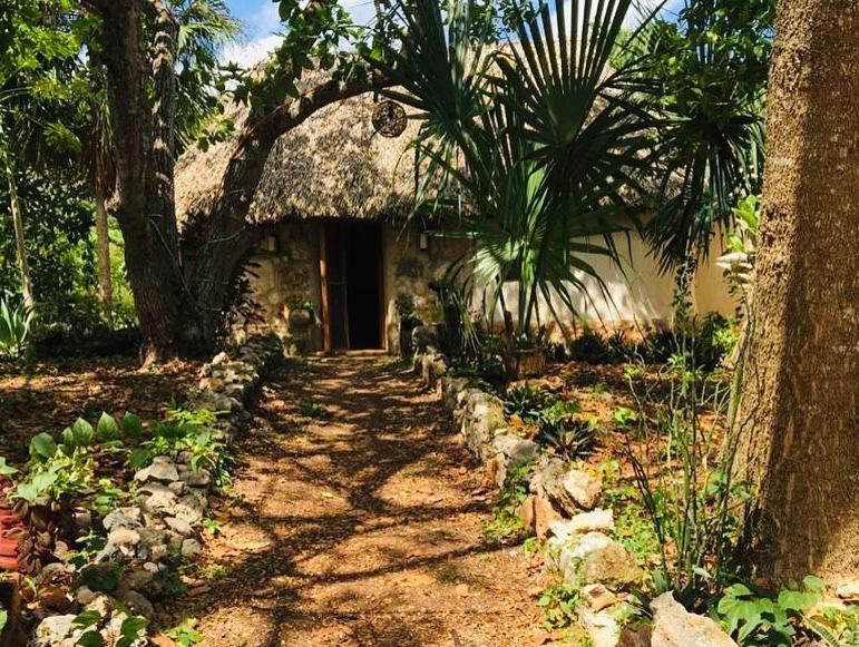 Encantadora Villa Maya Tradicional En Rancho Agroecologico Tzucaceb Zewnętrze zdjęcie