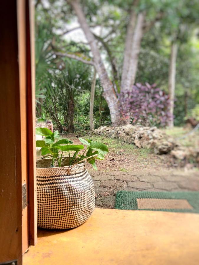 Encantadora Villa Maya Tradicional En Rancho Agroecologico Tzucaceb Zewnętrze zdjęcie